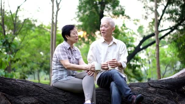 Happy Old Asian senior couple dating at park in the morning. Coffee conversation — Stock Video