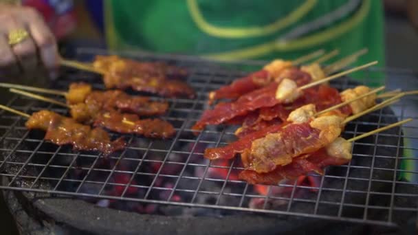 Dünne Fleisch Holzkohlegrill Spieß — Stockvideo