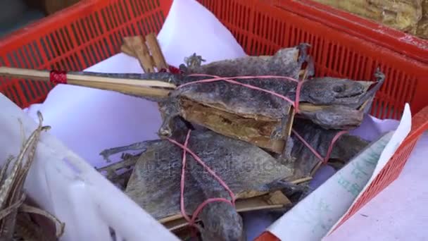 Dried Gecko Chinese Medicine Selling — Stock Video