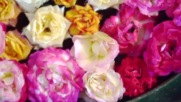 Floating Roses Water Pot Prachtige Decoratie — Stockvideo