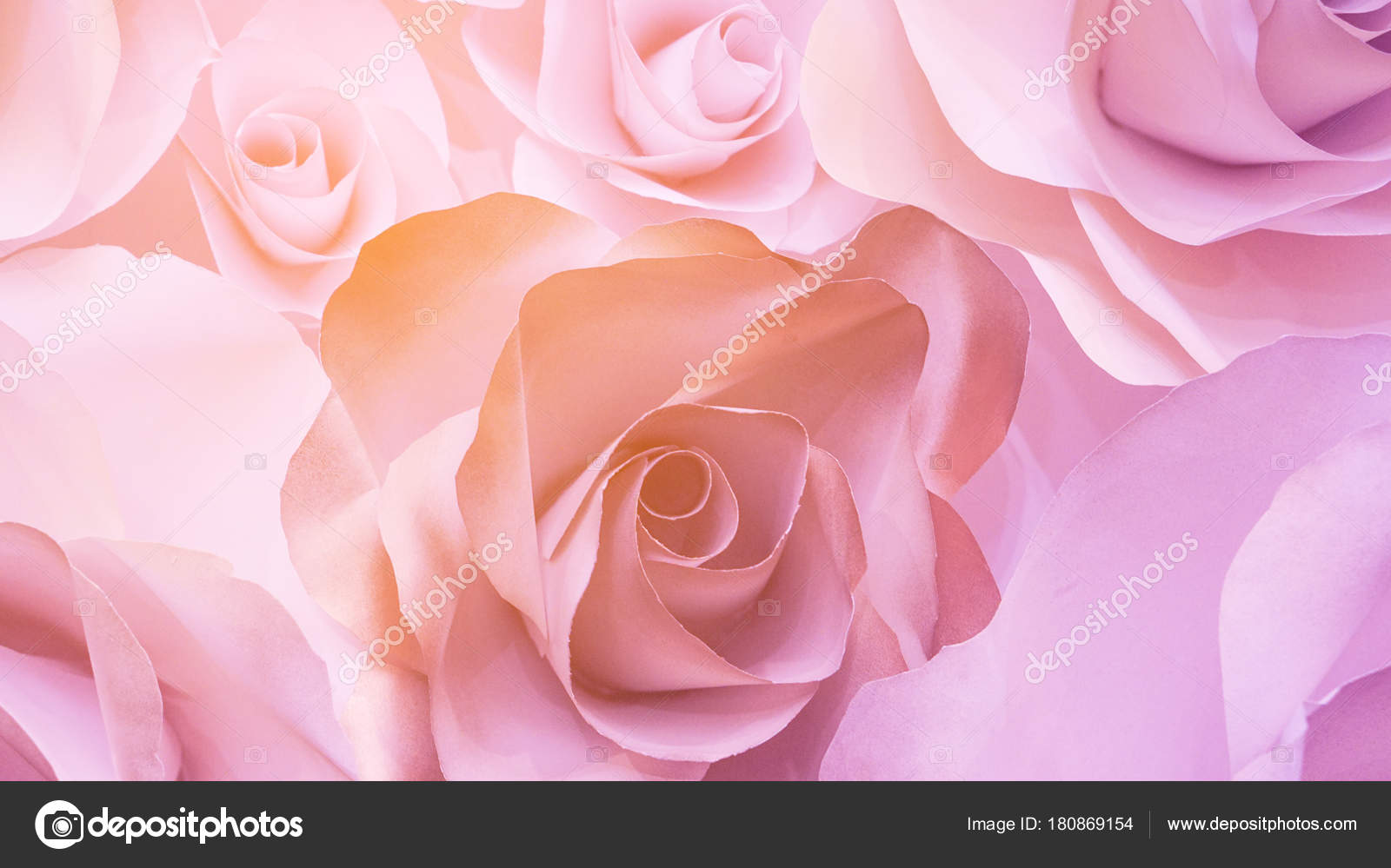 Roses flower wedding pink background with copy space — Stock Photo