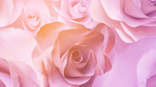 Roses flower wedding  pink background with copy space — Stock Photo, Image