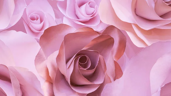 Roses flower wedding  pink background with copy space — Stock Photo, Image