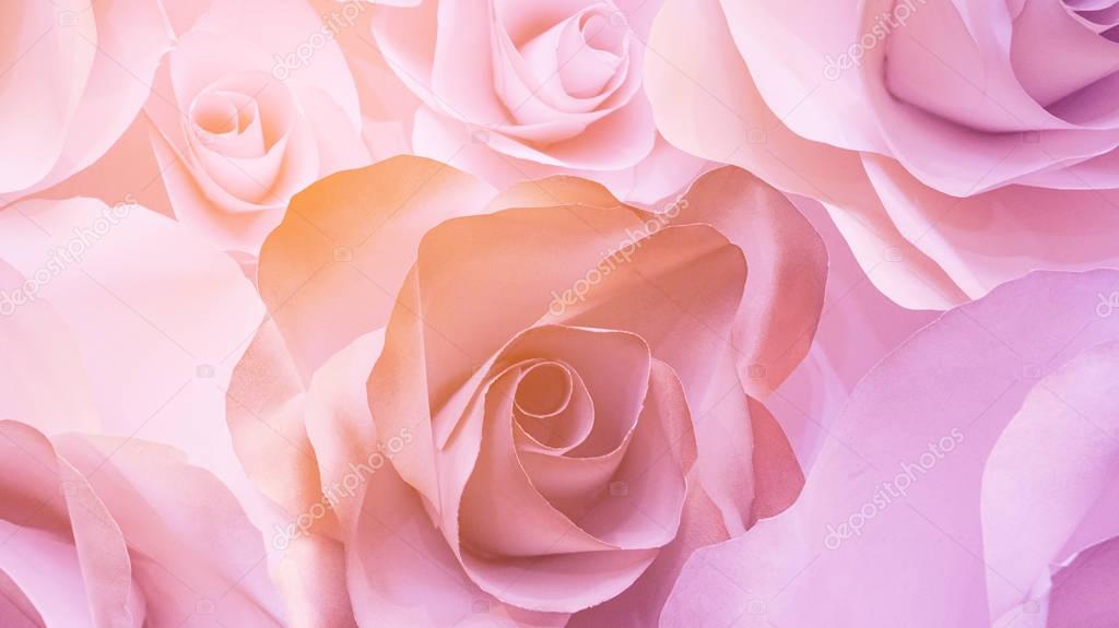 Roses flower wedding pink background with copy space — Stock Photo