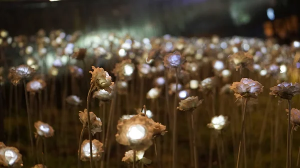 Seul, Coréia; Julho 2016 - LED rosa marco flor na área DDP Dongdaemun — Fotografia de Stock