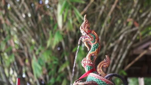 Asian Dragon Naga Mythical Animal Water Fountain — Stock Video