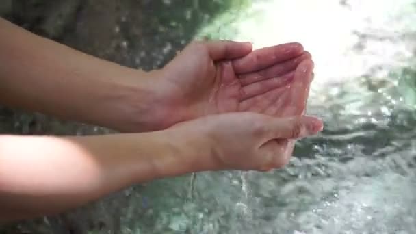 Hands Playing Waterfall Clear Water Tropical Forest — Stock Video