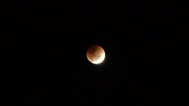Super Blood Moon Eclipse Video — Stock Video