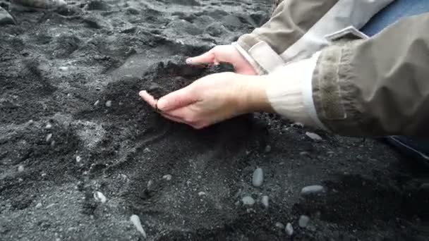 Hand Håva Svart Sand Island Vik Stränder Video — Stockvideo