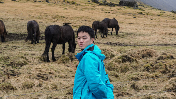 Asian man and Icelandic horses farm