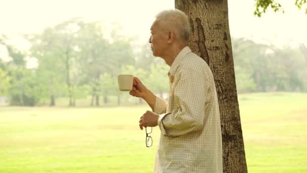 Asijské Starší Pití Kávy Parku Ranním Slunci — Stock video