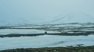 İzlanda aşırı kötü hava kar ve sis mountaitn arka plan, yeşil yosun alan