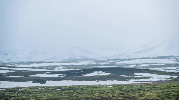 Плохая погода в Исландии снег и туман на фоне горы, зеленый мос — стоковое фото