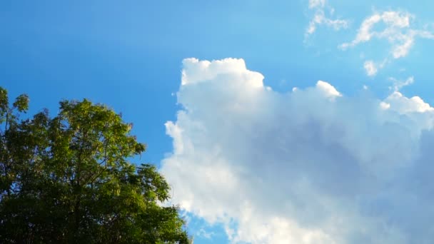 Ljusa Blå Sommarhimlen Och Molnet Med Träd Vid Hörnet Slowmotion — Stockvideo