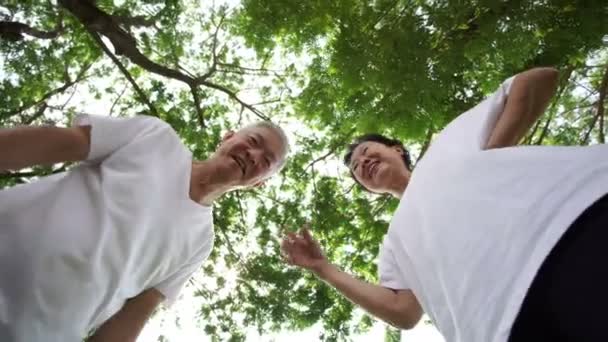 Ανώτερος Παππούδες Παίζουν Παιδί Pet Χαμηλότερη Γωνία Άποψης Pov Δέντρο — Αρχείο Βίντεο