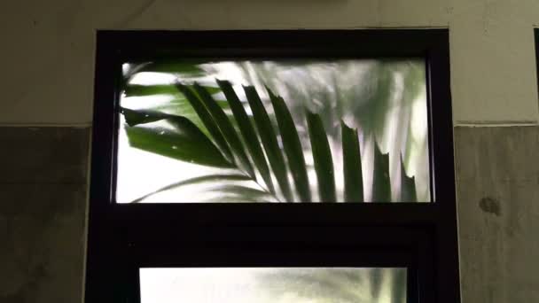Тропические Пальмы Листья Качели Окном Комнаты Видео — стоковое видео
