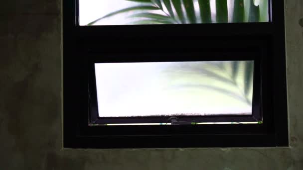 熱帯のヤシの木の葉が揺れるビデオ の部屋の窓の外 — ストック動画