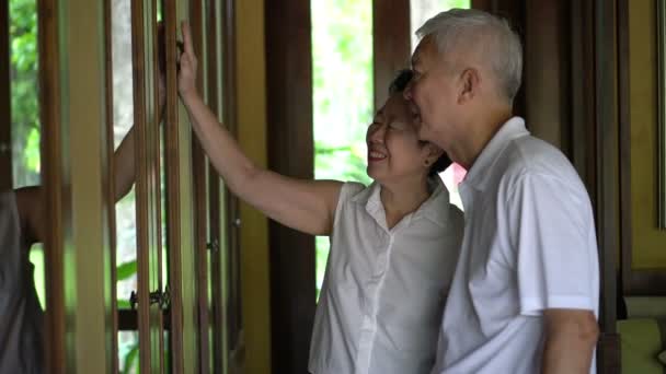 Asiática Mayor Pareja Ancianos Mirando Objetos Memoria Gabinete Buen Tiempo — Vídeo de stock