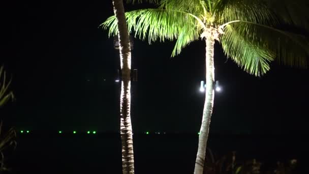 Cocos Iluminan Con Decorar Iluminación Luz Noche Playa Tropical — Vídeo de stock