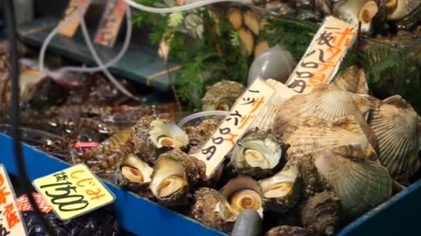 Beruhigt Und Garnelen Frische Meeresfrüchte Verkaufen Tsukiji Japan Berühmten Fischmarkt — Stockvideo