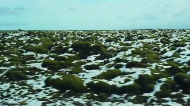 Islandia Musgo Rocas Nieve Paisaje Vista Desde Roadtrip — Vídeo de stock