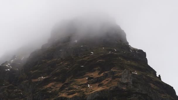 Birds Flock Nest Iceland Mountian Foggy Peak — Stock Video