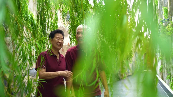 Asian old couple holding hand walking through green willow tree