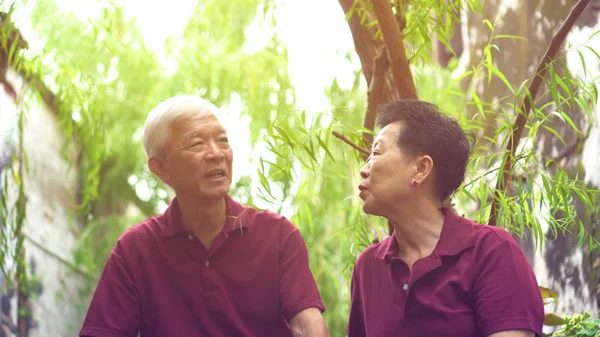 Asiatisches altes Paar auf Reisen sitzt unter grünem Weidenbaum — Stockfoto