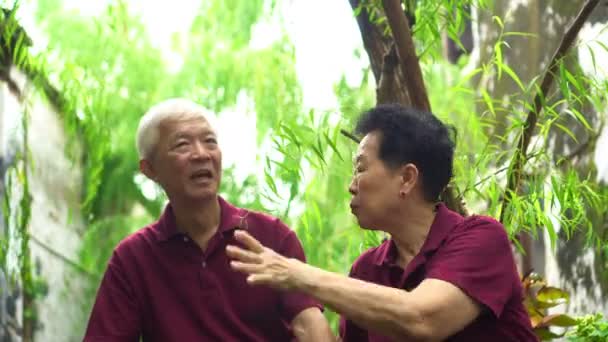 亚洲一对老夫妇坐在绿柳树下探索新的地方 — 图库视频影像