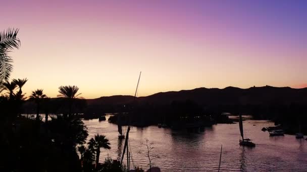 Barco Felucca Navegando Río Nilo Egipto Puesta Sol Con Fondo — Vídeos de Stock