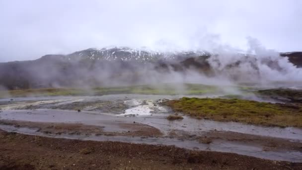 Islandia Abr 2017 Geyser Gran Zona Geysir Con Turista — Vídeo de stock