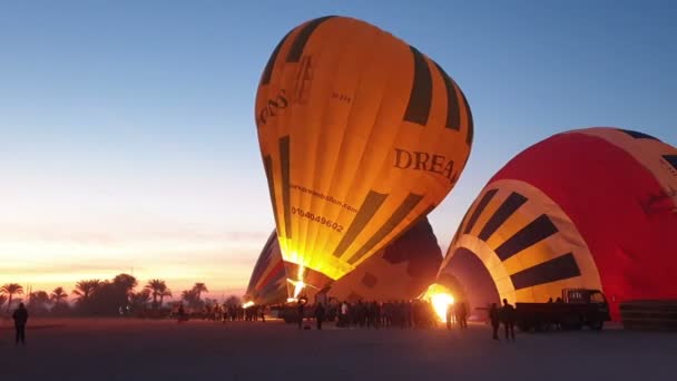 Luxor Egypt Dec 2019 Hot Air Balloon Inflating Advanture Tour — Stock Video