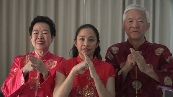 Rodzinna Etykieta Salut Dłoni Pięści Gest Ograniczający Chiński Nowy Rok — Wideo stockowe
