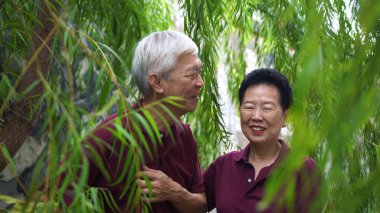 Mutlu emekli Asyalı yaşlı çift yeşil söğüt ağacının altında gülüyor.