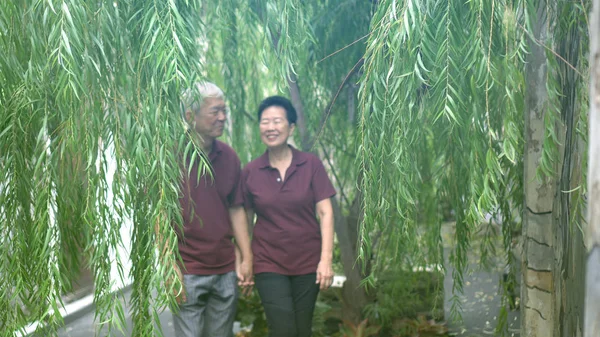 Happy retired Asian senior couple laughing under green willow tree background