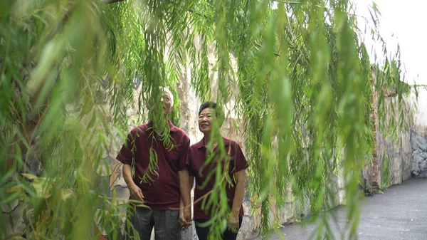 Happy pensionar asiatic senior cuplu râzând sub verde salcie copac fundal — Fotografie, imagine de stoc