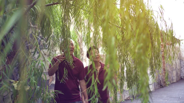 Happy retired Asian senior couple laughing under green willow tree background