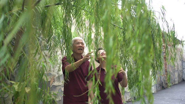 Szczęśliwa emerytowana azjatycka para seniorów śmiejących się pod zielonym tle wierzby — Zdjęcie stockowe