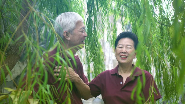 Boldog nyugdíjas ázsiai idős pár nevet a zöld fűzfa háttér — Stock Fotó