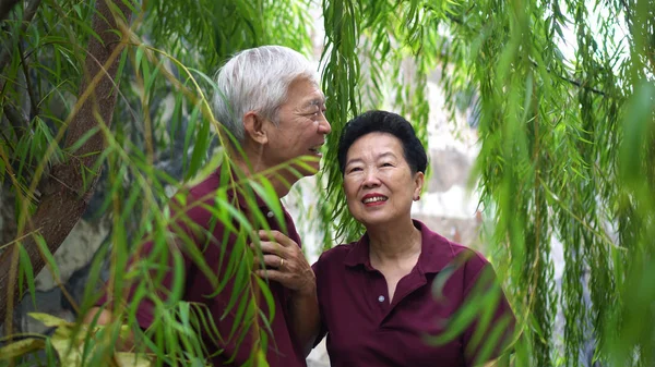 Счастливая старшая азиатская пара на пенсии смеется под зеленой ивой — стоковое фото