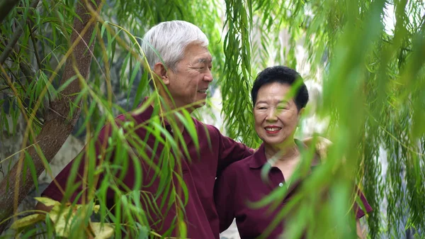 Gelukkig gepensioneerd aziatisch senior paar lachen onder groen wilg boom achtergrond — Stockfoto