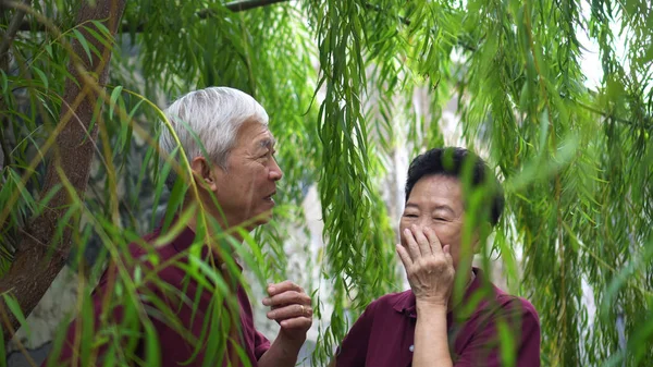 Gelukkig gepensioneerd aziatisch senior paar lachen onder groen wilg boom achtergrond — Stockfoto