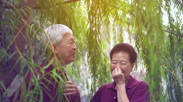 在绿柳的背景下，快乐的退休的亚洲老年夫妇在欢笑 — 图库照片