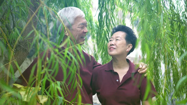 Счастливая старшая азиатская пара в отставке смеется под зеленым фоном ивы — стоковое фото