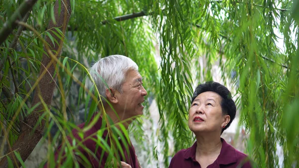 Gelukkig gepensioneerd aziatisch senior paar lachen onder groen wilg boom achtergrond — Stockfoto