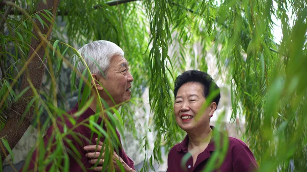 Feliz aposentado ásia sênior casal rindo sob verde salgueiro árvore fundo — Fotografia de Stock