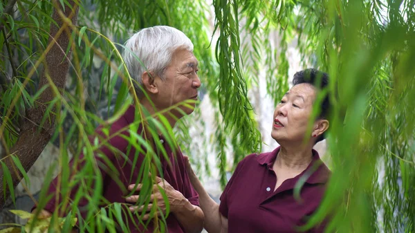 Feliz jubilado asiático senior pareja riendo bajo verde sauce árbol fondo — Foto de Stock