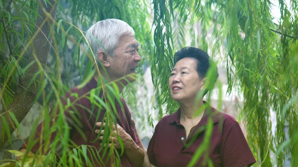 Happy retired Asian senior couple laughing under green willow tree background — Stock Photo, Image