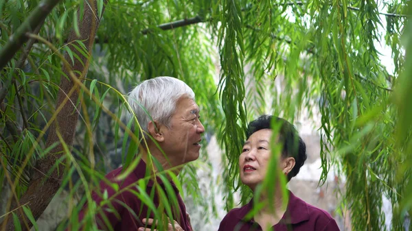 在绿柳的背景下，快乐的退休的亚洲老年夫妇在欢笑 — 图库照片