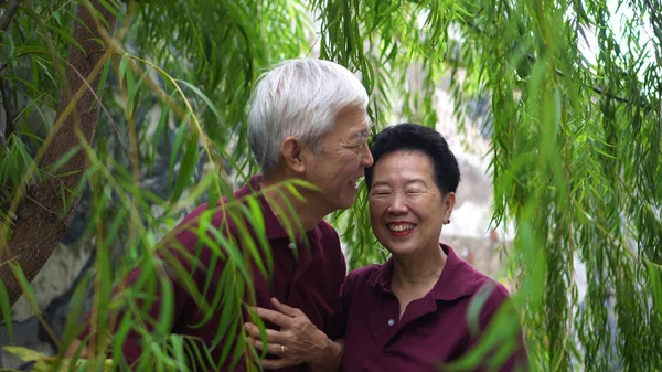 Happy retired Asian senior couple laughing under green willow tree background — 스톡 사진